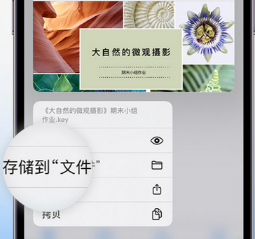 松江apple维修中心分享iPhone文件应用中存储和找到下载文件