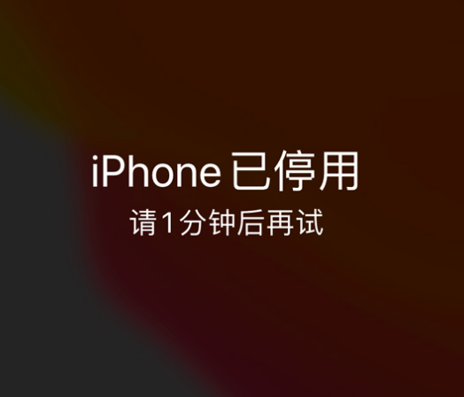 松江苹果手机维修分享:iPhone 显示“不可用”或“已停用”怎么办？还能保留数据吗？ 