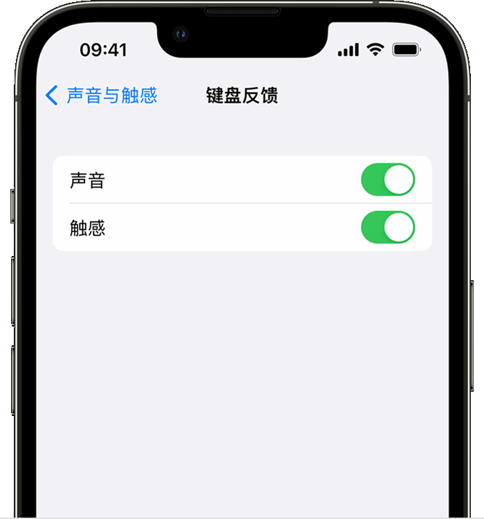 松江苹果14维修店分享如何在 iPhone 14 机型中使用触感键盘 