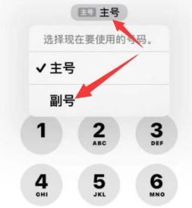 松江苹果14维修店分享iPhone 14 Pro Max使用副卡打电话的方法 