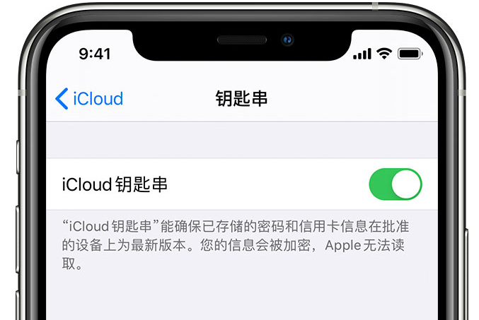 松江苹果手机维修分享在 iPhone 上开启 iCloud 钥匙串之后会储存哪些信息 