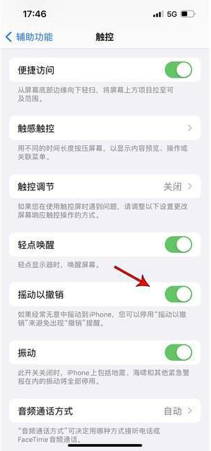 松江苹果手机维修分享iPhone手机如何设置摇一摇删除文字 