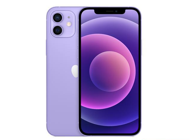 松江苹果手机维修分享现阶段要不要入手紫色版iPhone12 